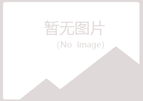 阳山县海安设计有限公司